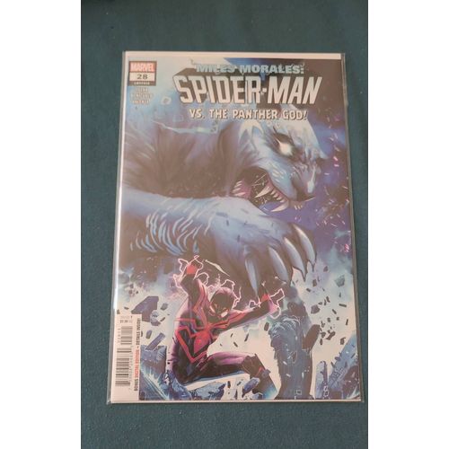 Miles Morales : Spider-Man 2022 28