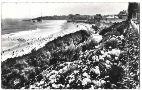 C.P.A. : Biarritz - La Grande Plage