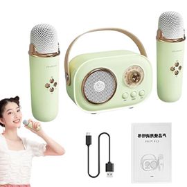 Micro karaoké sans fil pour adultes,petit haut-parleur,microphones de chant portables,câble de charge,divertissement à domicile