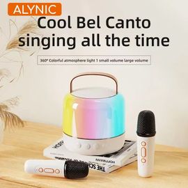 ALYAlfred-Machine de Karaoké Portable Bluetooth 5.3 PA,Système de Haut-Parleurs,Double Microphones Sans Fil,pour la Maison,Chant en Famille,Cadeaux pour Enfants-B