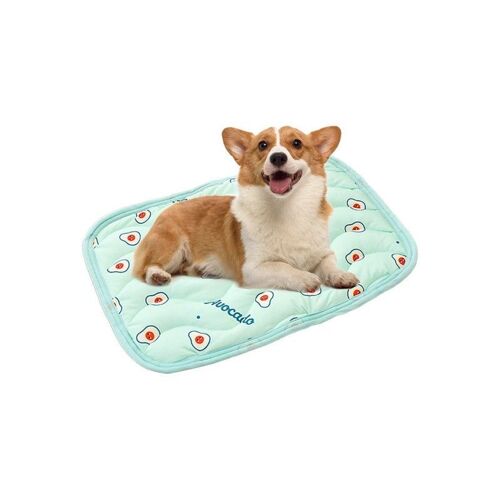 Tapis Rafraîchissant Pour Animaux De Compagnie 50 X 40 Cm Pour Chats Et Chiens - Vert