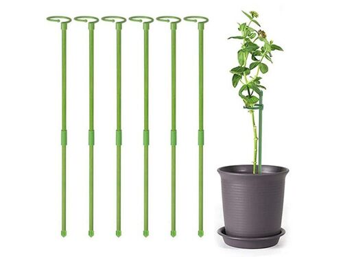 Lot De 12 Tuteurs De 60 Cm Pour Fleurs Et Jeunes Plants