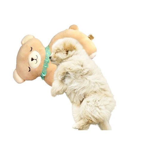 Coussin De Couchage Pour Chien Motif Ours ¿ Lit Confortable Et Lavable Pour Petits Et Moyens Chiens