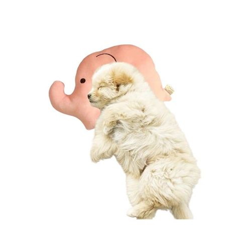 Coussin Éléphant Pour Chien - Coussin De Couchage Pour Plus De Confort Et De Soutien
