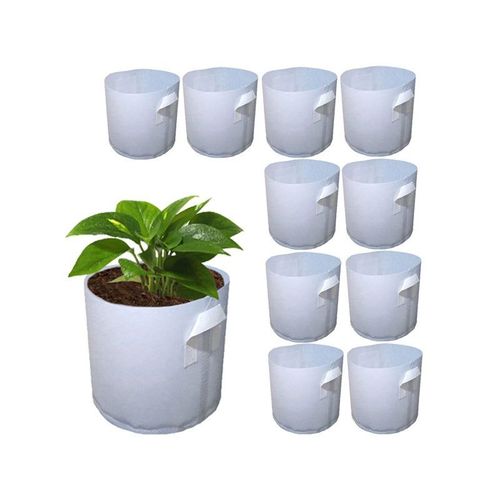 Lot de 10 sacs de culture biodégradables en tissu non tissé pour semis et plantes