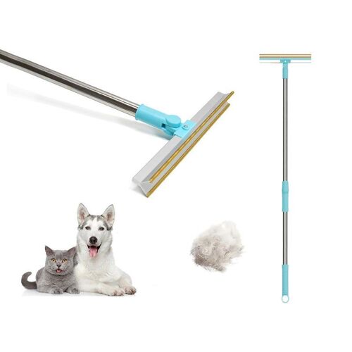 Râteau À Tapis Pour Enlever Les Poils D'animaux Avec Long Manche Réglable Pour Une Épilation Facile