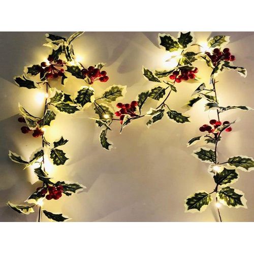 Guirlande Lumineuse De Noël À 20 Led Et 2 M De Baies À Piles