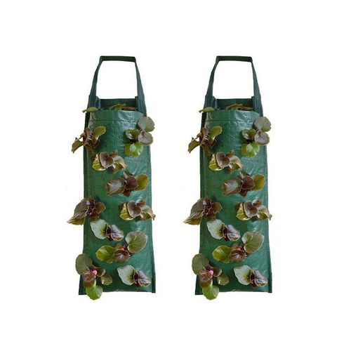 Lot de 2 sacs à fraises suspendus avec 10 trous pour plantes, 57 cm x 25 cm, matériau PE durable
