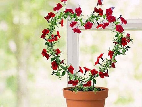 Treillis en forme de coeur pour plantes grimpantes ¿ Lot de 2, support en fer pour jardin et intérieur
