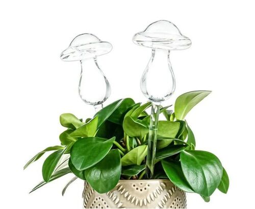Lot de 2 boules d'arrosage automatique en verre pour plantes, distributeur d'eau en forme de champignon, système d'arrosage automatique