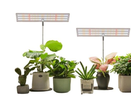Lot de 2 panneaux lumineux LED pour plantes d'intérieur, hauteur et base réglables