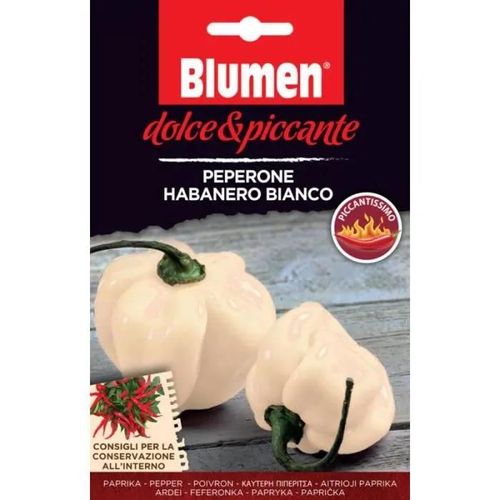 Blumen Peperone Habanero Bianco, Poivre
