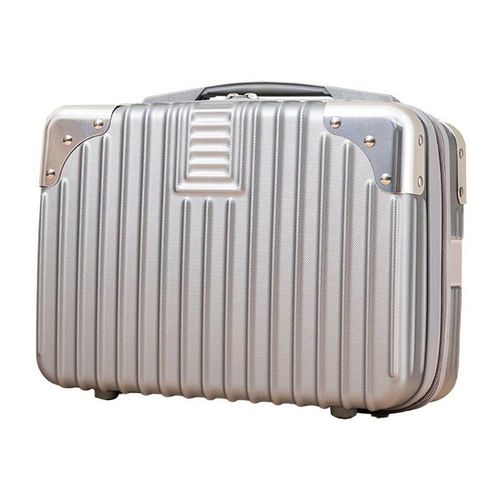 Valise de voyage rigide gris argenté de 14 pouces