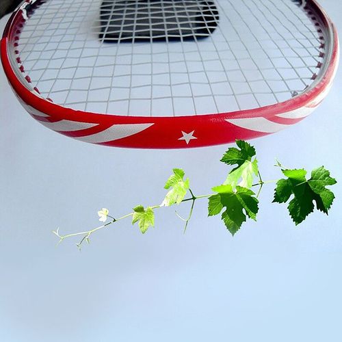 Autocollant De Protection De Raquette De Badminton Avec Bande Anti-Collision,Cadre Complet,Fil De Protection De Tête -Rouge