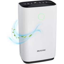 Deshumidificateur d Air Electrique - Déshumidificateurs - Desumificateur Electrique - Dehumidificateurs - Absorbeur D'humidité Electrique - Dehumidifier - Silencieux - 12L par Jour