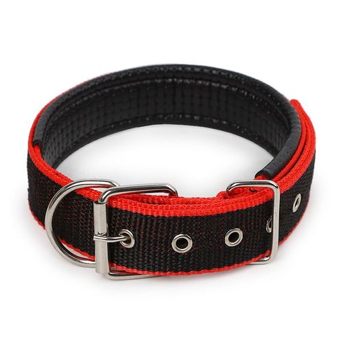 Collier De Chien Inf Anti-Étranglement Réglable Avec Boucle En Métal Multicolore