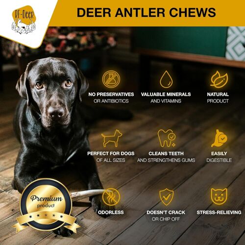 Bois De Chevreuil,Chèvre,Cerf,Hard,M,1 Pièce 30-80 G,13-18 Cm,100% Naturel Bâtonnets Jouets À Mâcher Pour Chiens,Naturels Des Os Pour Le Plaisir Et Les Soins Dentaires