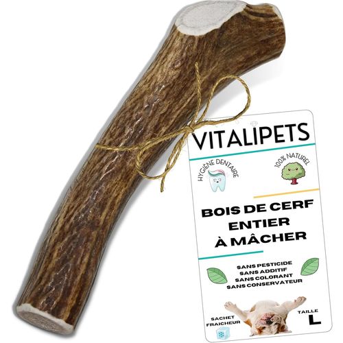 Bois De Cerf Pour Chien|Taille L 20 À 30 Kg|Nettoie Les Dents|Longue Durée De Mastication|Apport En Calcium Naturel|Anti-Stress Pour Chiens Actifs|Friandise Naturelle Et Durable