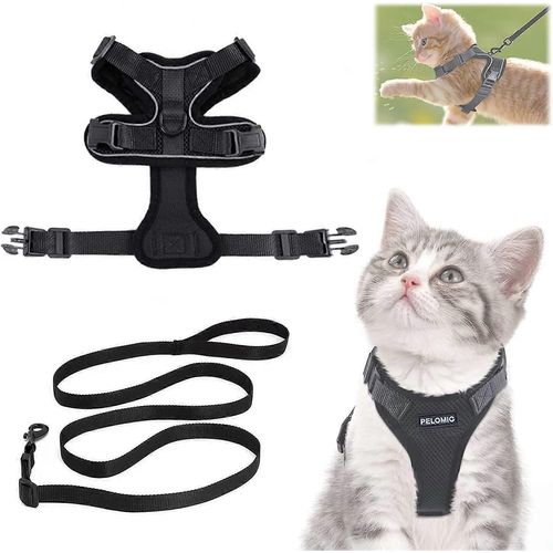 Harnais Pour Chat Avec Laisse, Harnais Pour Chat Et Laisse, Harnais Réglable Pour Chaton, Harnais Pour Chat