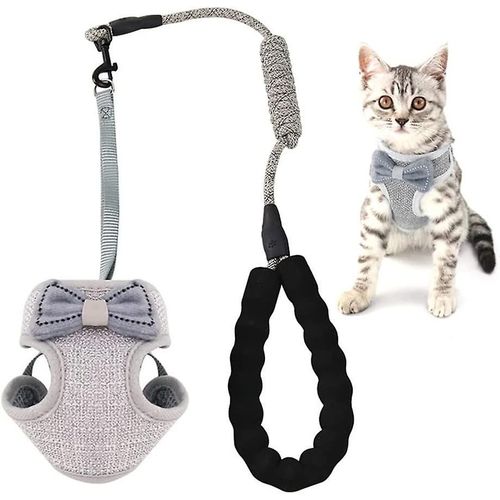 2025 - Ensemble Harnais Et Laisse Pour Chat Anti-Fuite, Gilet Souple Réglable Pour Chatons, Harnais Respirant
