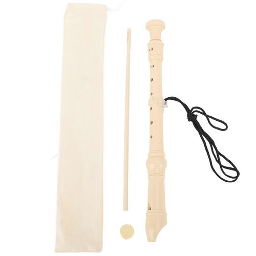 Flûte À Bec Instrument Flûte Verticale Résine 8 Trous Flûte À Bec Aiguë Pour Jouer Performance