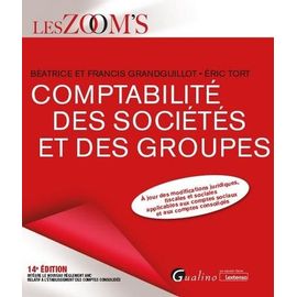 La Comptabilité Des Sociétés Et Des Groupes