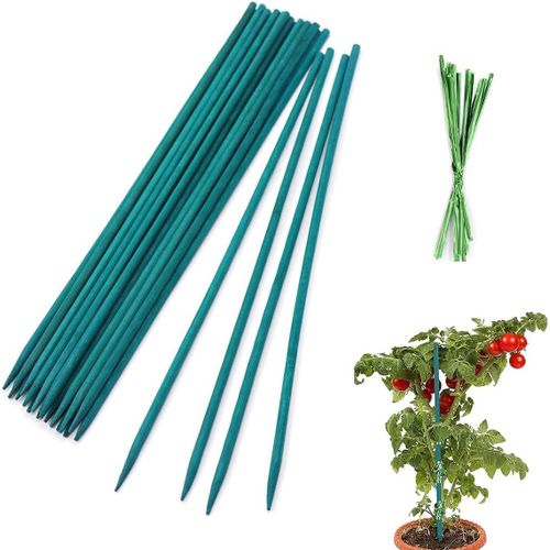jum-25Pcs Tuteurs Pour Plantes 30Cm Tuteurs En Bois Bâtons Support Piquets De Jardin Avec 50 Attaches Torsadées,Support Tuteurs Pour Plantes Pour Jardin OuMaison