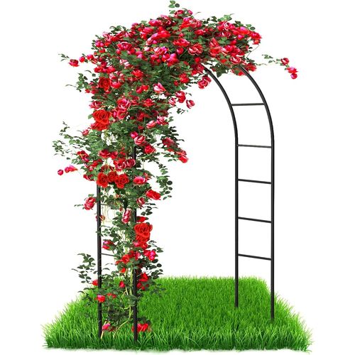 Asfasfq-Arche De Jardin En Métal Pour Plantes Grimpantes Et Roses, En Acier Revêtu Par Pulvérisation, Résistante Aux Intempéries, 240 X 140 X 38 Cm