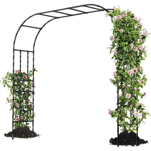 Asfasfq-Caroeas Arche De Jardin Pour Plantes Grimpantes,250x240x40cm¿Arceau Métallique Pour Rosiers, Tonnelle Décorative Extérieure, Résistante À La Rouille Et À La Décoloration