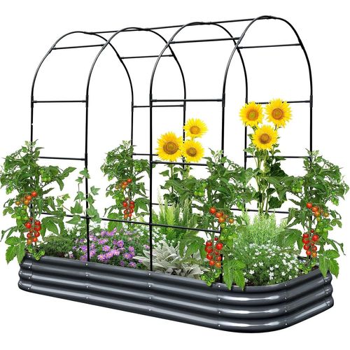 Asfasfq-King Bird Jardinière Surélevée Avec Arche De Roses, Bac À Plantes, Jardinière De Jardin Avec Arche De Jardin, Légumes Grimpants, Fleurs, 240 X 120 X 30 Cm, Gris Foncé