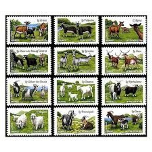 Faune : Les Chèvres De Nos Régions Série Complète Année 2015 Autoadhésifs N° 1096 1097 1098 1099 1100 1101 1102 1103 1104 1105 1106 1107 Yvert Et Tellier