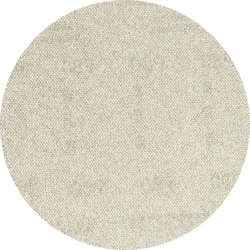 Professional 5x Abrasifs réticulés Expert M480 (pour Bois dur, Peinture sur bois, Ø 150 mm, Grain 150, Accessoires Ponceuse excentrique)