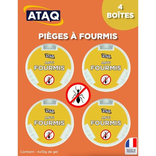 KALANKA-- Lot de 4 Boîtes Appât 10g Gel Anti Fourmis Puissant - Insecticide - Éradicateur Efficace - fourmilière - Élimine les Fourmis ¿ Formule professionnelle - résultat rapide - barrage aux insect