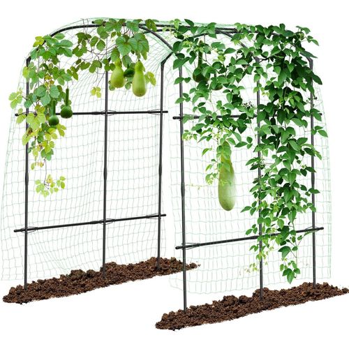 Asfasfq-Sunyrisy Grand Tuteur De Concombres - Arche De Jardin Pour Plantes Grimpantes - Tuteur En Métal Revêtu De Polyéthylène - 220 Cm De Haut - Avec Treillis Pour Concombres, Fleurs, Pois