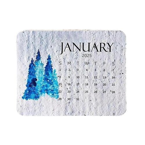 2025 Calendrier Papier Plantable Semaine Mois Date Affichage Calendrier
