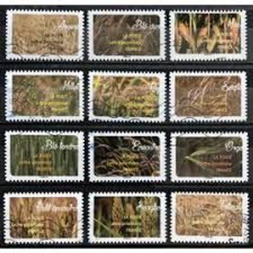 Céréales Nourricières Ou Plantes À Grains Série Complète Année 2017 Autoadhésifs N° 1445 1443 1444 1445 1446 1447 1448 1499 1450 1451 1452 1453 Yvert Et Tellier