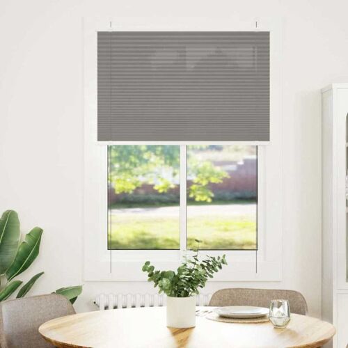 Vidaxl Store Plissé Anthracite 100x100 Cm Largeur Du Tissu 99,4 Cm