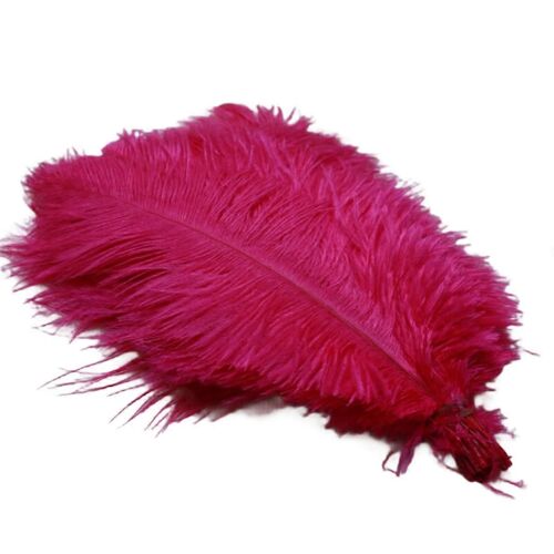 Plumes D'autruche De 20 À 25 Cm Pour Spectacles Sur Scène,Couleur Rose Rouge