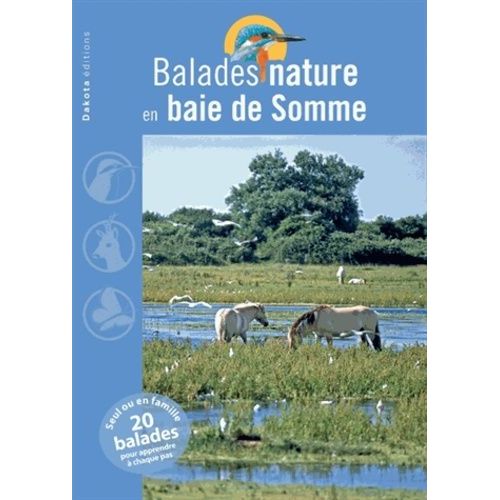 Balades Nature En Baie De Somme