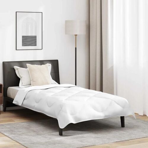 Ensemble de Duvet d'Hiver 2 pcs Blanc 155 x 220 cm Microfibre