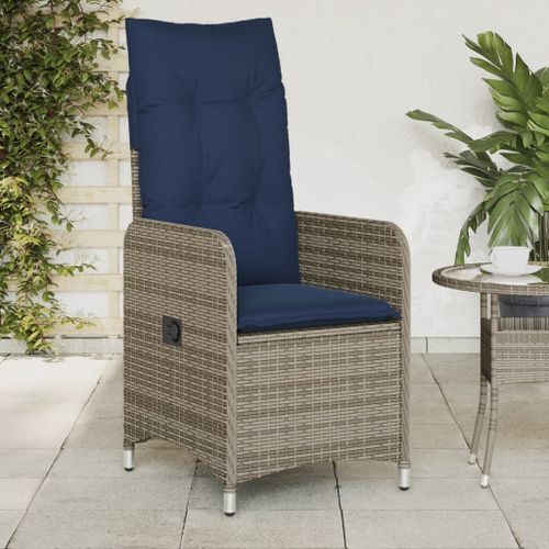 Vidaxl Chaise De Jardin Inclinable Avec Coussins En Résine Tressée Grise