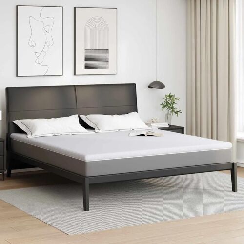 Vidaxl Coussins De Matelas Blanc 180 X 200 Cm