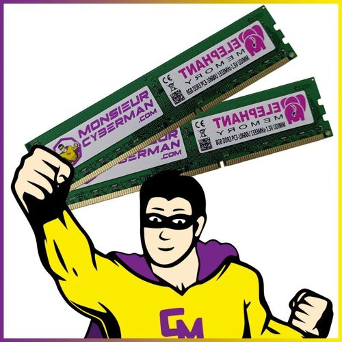 Lot 2x8 Go (16 Go) RAM DDR3 Elephant Memory PC3-10600U DIMM 1333Mhz 1.5v PC Neuf