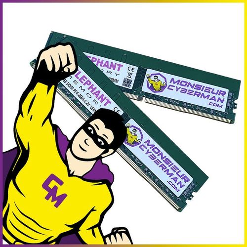 Lot 2x16 (32Go) RAM DDR4 Elephant Memory PC4-21333 DIMM 2666Mhz Mémoire PC Neuf