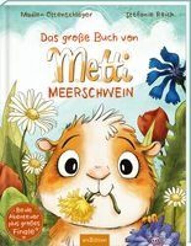 Das Große Buch Von Metti Meerschwein