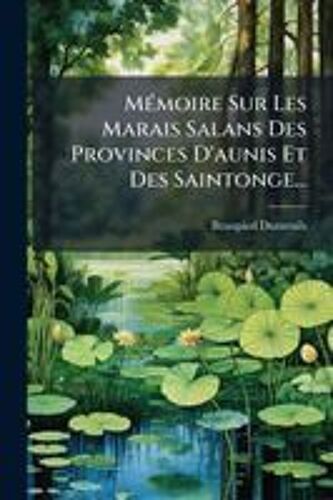 Mã(C)Moire Sur Les Marais Salans Des Provinces D'aunis Et Des Saintonge...