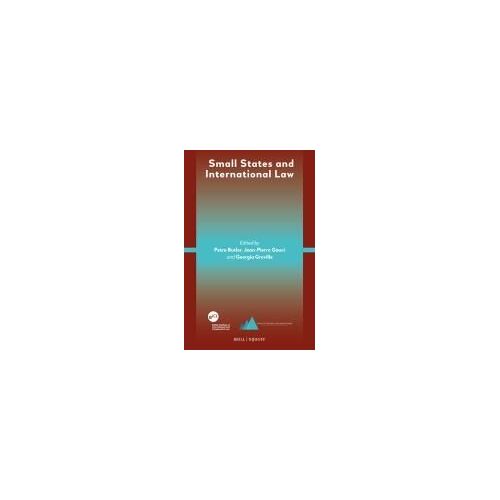 Small States And International Law