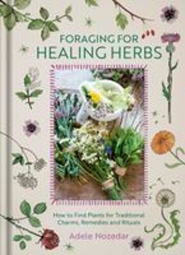 Foraging For Healing Herbs