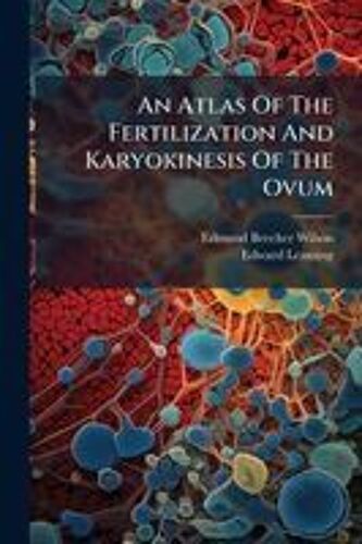 An Atlas Of The Fertilization And Karyokinesis Of The Ovum