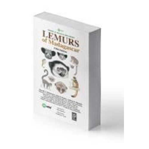 Lemurs Of Madagascar
